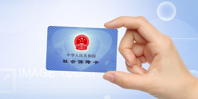 行业概述
